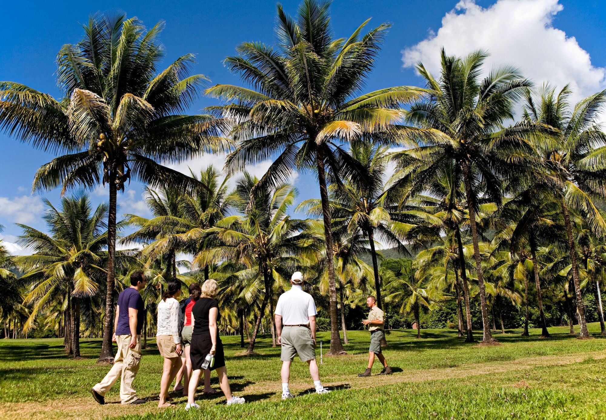 Thala Beach Nature Reserve Port Douglas Exterior foto